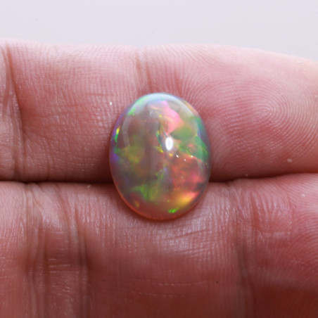 埃塞俄比亚蛋白石 taille 椭圆形 白色 5.60 carats