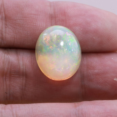 Opal aus &Auml;thiopien lengte OVAL Wei&szlig; 17.37 karaten