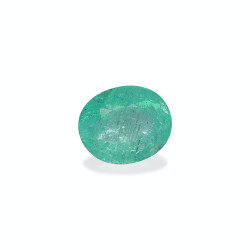 Ovale geslepen groene Paraiba-toermalijn van 16,60 karaat