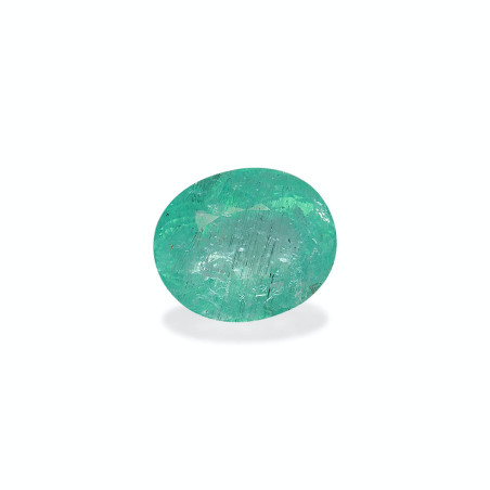 帕拉伊巴电气石 taille 椭圆形 绿色 16.60 carats