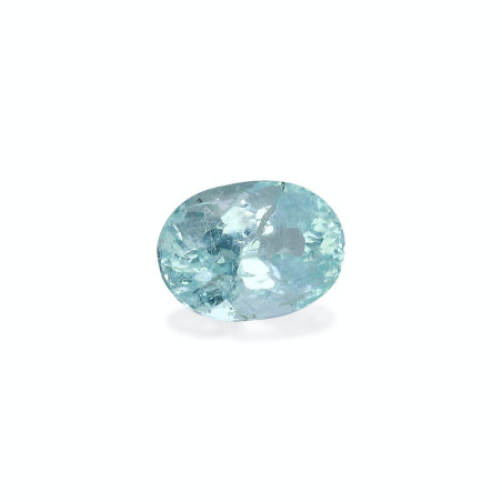 帕拉伊巴电气石 taille 椭圆形 蓝天 1.12 carats