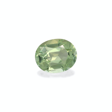 绿色电气石 taille 椭圆形 绿色 5.35 carats