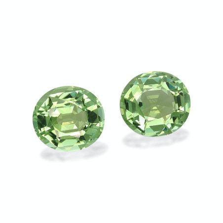 绿色电气石 taille 椭圆形 海沫绿 10.89 carats