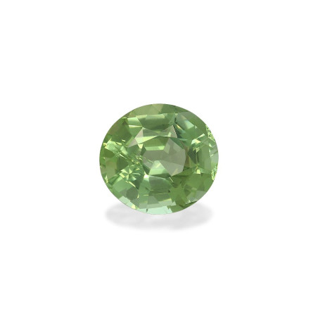 OVAL-cut Green Tourmaline Seafoam Green 6.77 carats