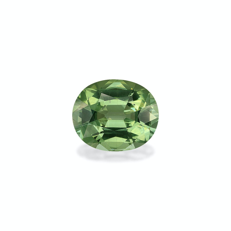 Turmalina Verde taille OVALE Seafoam Green 11.59 carats