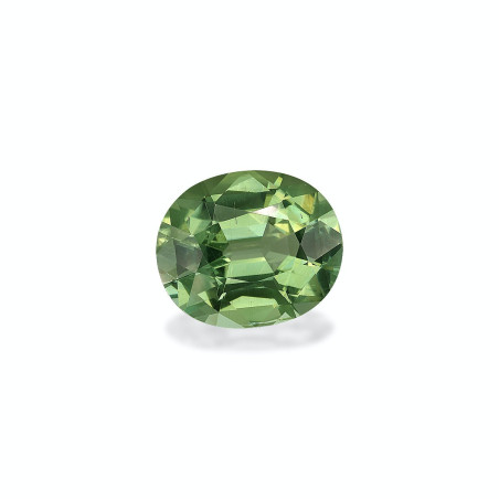 绿色电气石 taille 椭圆形 海沫绿 11.59 carats
