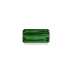 Tourmaline Verte taille...