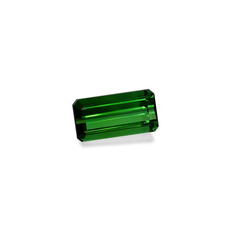 绿色电气石 taille 矩形的 绿色 8.44 carats