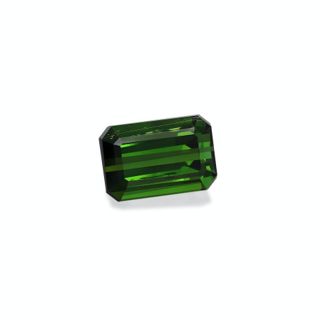 绿色电气石 taille 矩形的 罗勒绿 6.32 carats