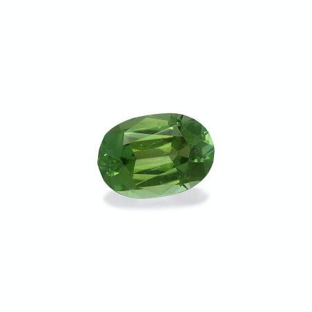 绿色电气石 taille 椭圆形 绿色 3.58 carats