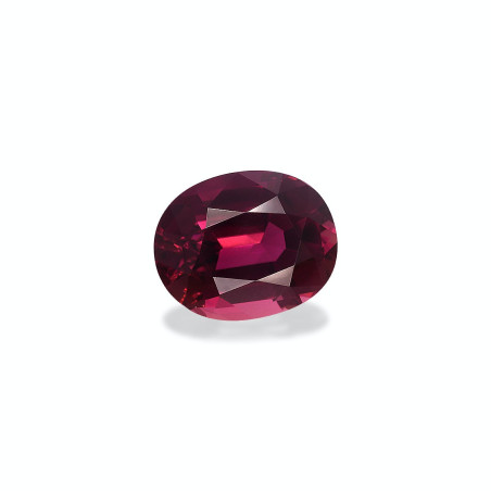 粉红碧玺 taille 椭圆形 花梨木粉红色 6.62 carats