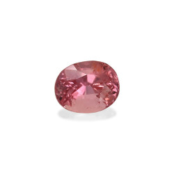 Padparadscha Saphir lengte OVAL Orange 1.57 karaten