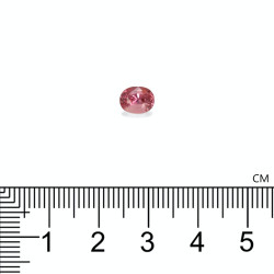 OVAL-cut Padparadscha Sapphire Orange 1.57 carats