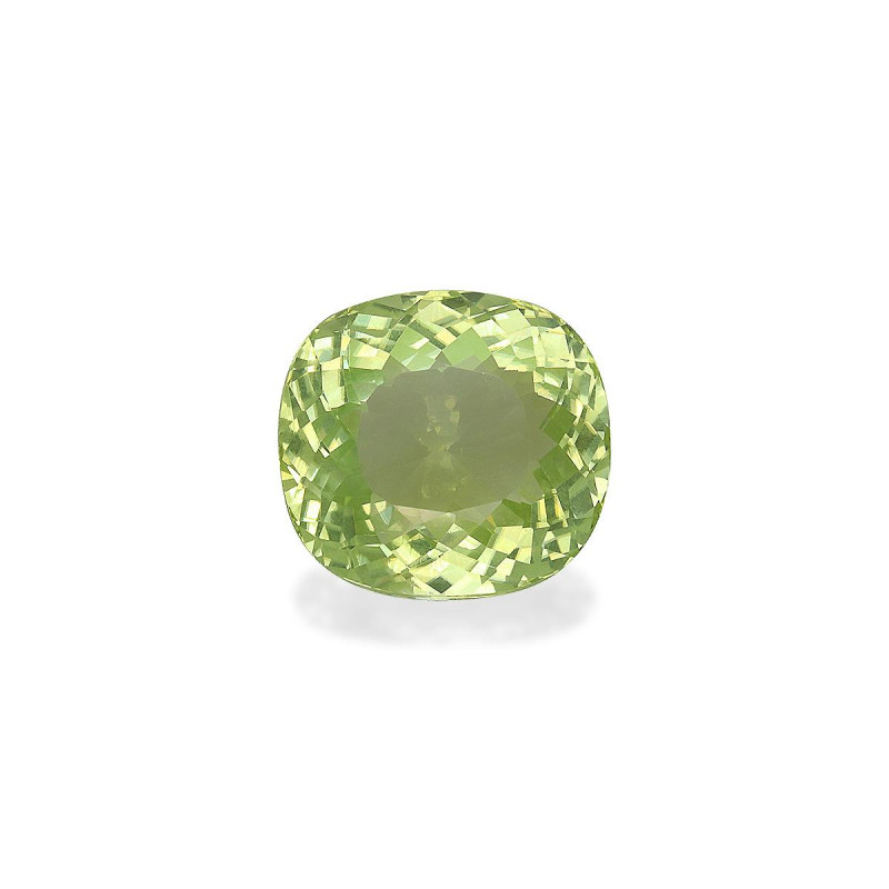 Tourmaline Cuivre taille COUSSIN 绿色 17.28 carats