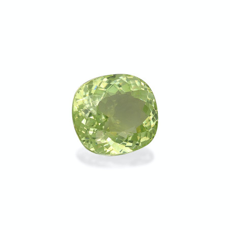 铜电气石 taille 靠垫 绿色 17.28 carats