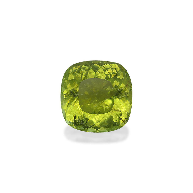 CUSHION-cut Cuprian Tourmaline Green 36.91 carats