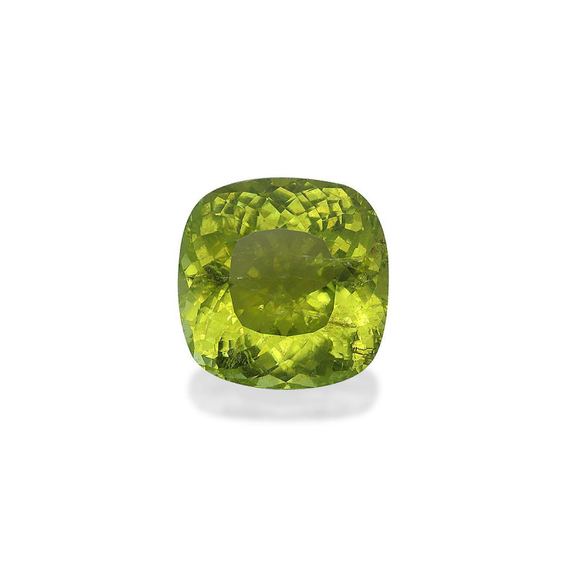 Tourmaline Cuivre taille COUSSIN Vert 36.91 carats