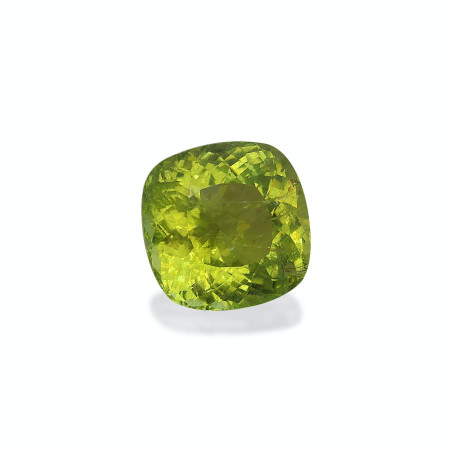 铜电气石 taille 靠垫 绿色 36.91 carats