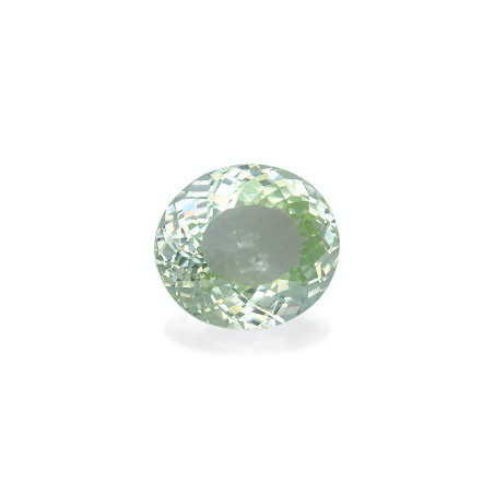 Tourmaline Paraiba taille OVALE  10.53 carats