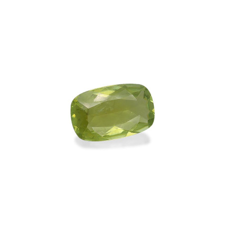 铜电气石 taille 靠垫 青柠绿 4.33 carats