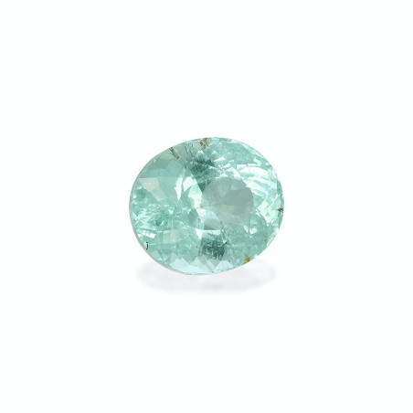Tourmaline Paraiba taille OVALE Seafoam Green 6.55 carats