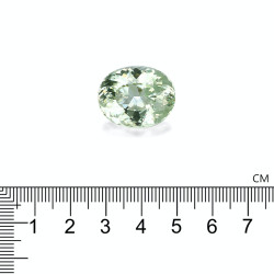 Ovale geslepen groene Paraiba-toermalijn van 27,39 karaat