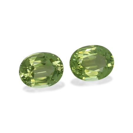 铜电气石 taille 椭圆形 淡绿色 21.69 carats