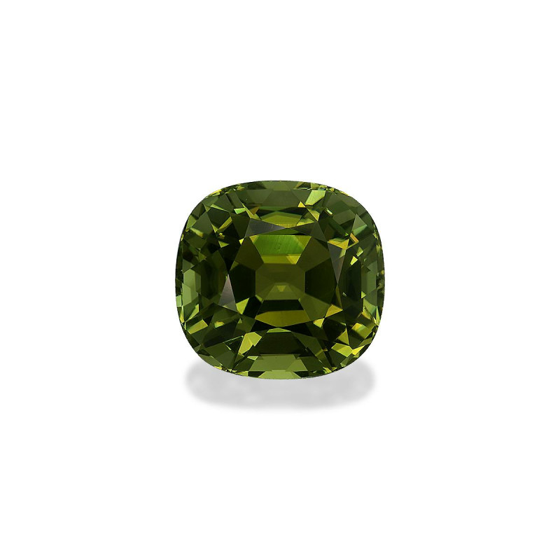 Tourmaline Cuivre taille COUSSIN Forest Green 19.20 carats