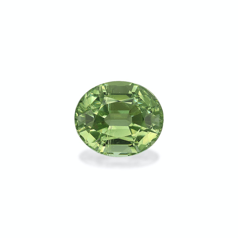 铜电气石 taille 椭圆形 橄榄绿 24.25 carats
