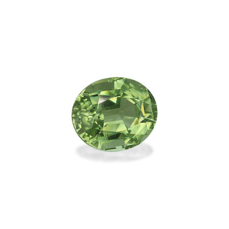 铜电气石 taille 椭圆形 橄榄绿 24.25 carats