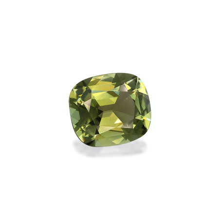 铜电气石 taille 靠垫 森林绿 13.29 carats