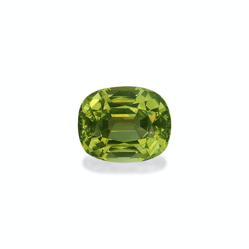 Tourmaline Cuivre taille COUSSIN Forest Green 11.34 carats