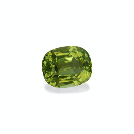 铜电气石 taille 靠垫 森林绿 11.34 carats