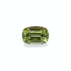 Tourmaline Cuivre taille...