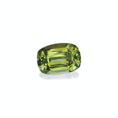 铜电气石 taille 靠垫 苔藓绿 22.26 carats