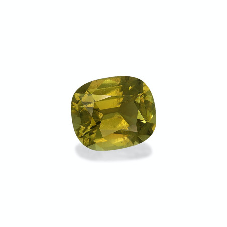铜电气石 taille 靠垫 苔藓绿 6.16 carats