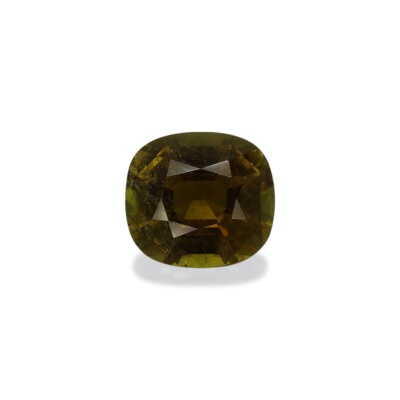 CUSHION-cut Green Tourmaline Moss Green 14.54 carats