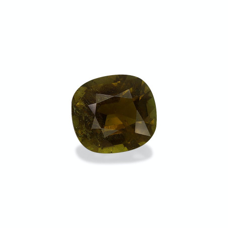 绿色电气石 taille 靠垫 苔藓绿 14.54 carats