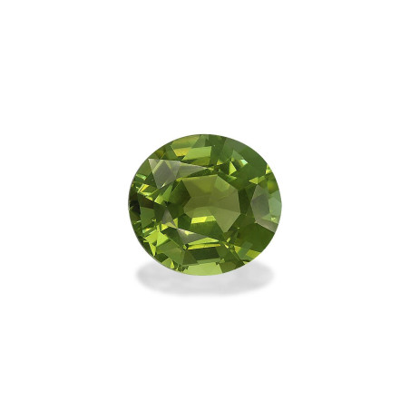 铜电气石 taille 椭圆形 森林绿 21.42 carats