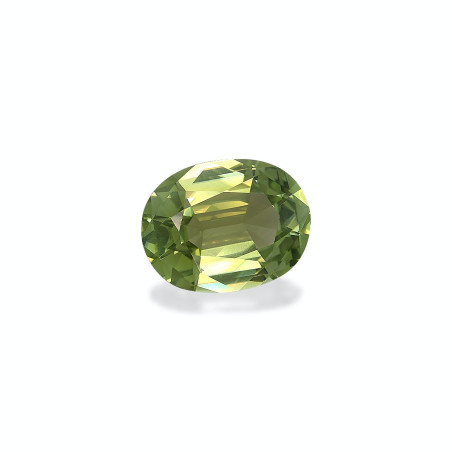 铜电气石 taille 椭圆形 淡绿色 17.00 carats