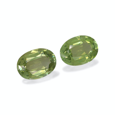 铜电气石 taille 椭圆形 青柠绿 24.21 carats