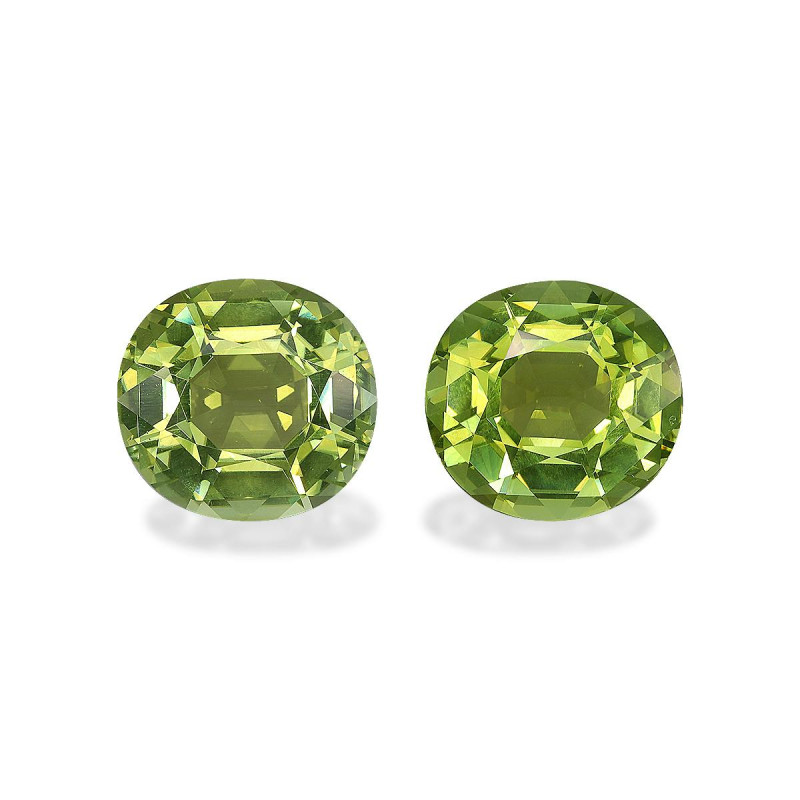Tourmaline Cuivre taille OVALE Lime Green 22.97 carats