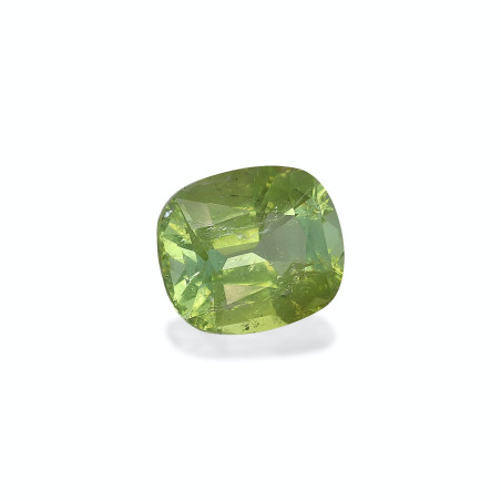 铜电气石 taille 靠垫 淡绿色 9.84 carats