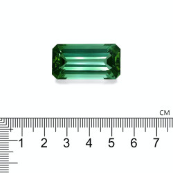 Rechthoekig geslepen zeegroene toermalijn van 50,21 karaat