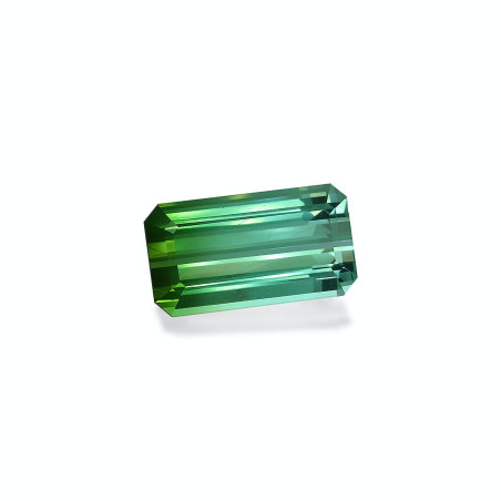 绿色电气石 taille 矩形的 海沫绿 31.98 carats