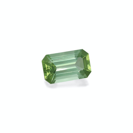 绿色电气石 taille 矩形的  15.34 carats