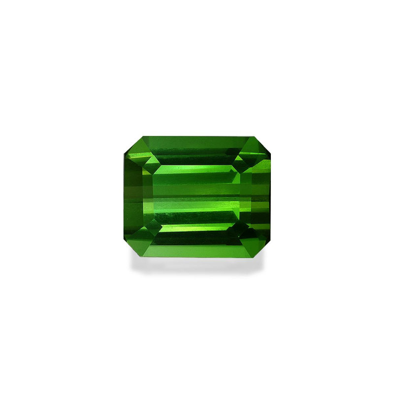 RECTANGULAR-cut Green Tourmaline Forest Green 6.33 carats
