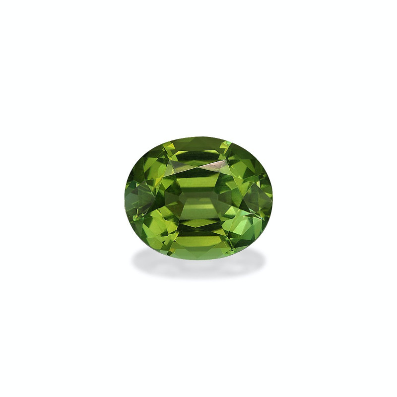 OVAL-cut Green Tourmaline Forest Green 4.87 carats