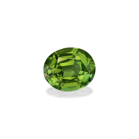 Turmalina Verde taille OVALE Forest Green 4.87 carats