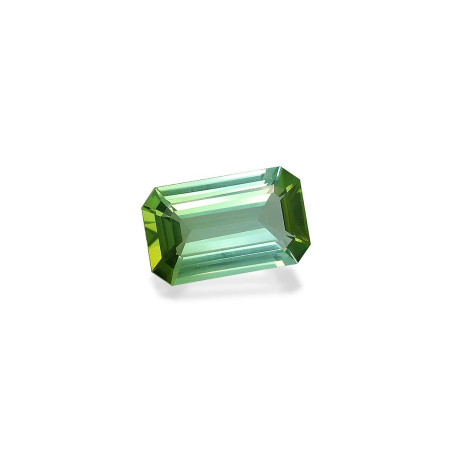 绿色电气石 taille 矩形的 海沫绿 5.74 carats